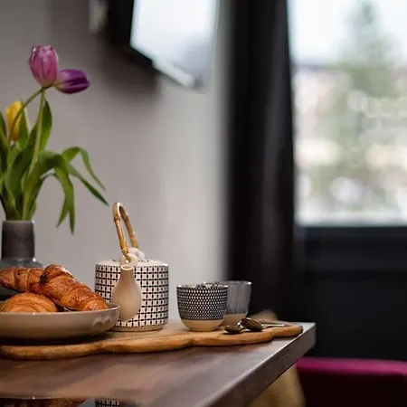 Beautiful Cosy, Modern In Centre Apartment Chamonix